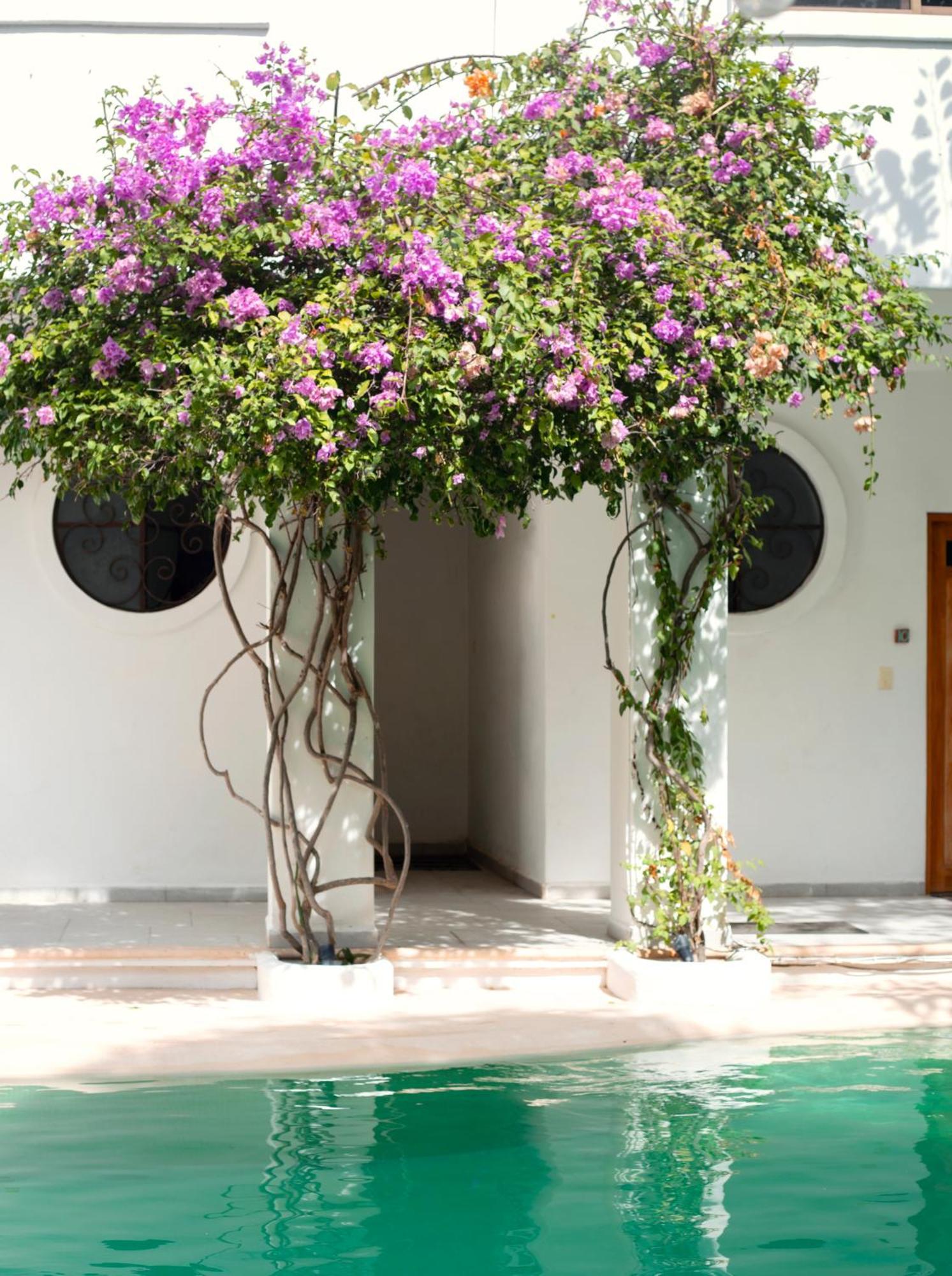 Sonido del mar Hotel Boutique&Yoga Loft Tulum Exterior foto